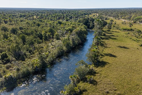 Are H&M and Zara Harming Forests in Brazil?